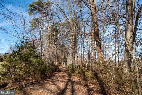 26123 Lafayette Dr, Rhoadesville, VA 22542 photo 2