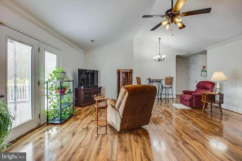 29126 Mary Violet Ln, Rhoadesville, VA 22542 photo 43