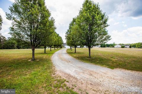 29126 Mary Violet Ln, Rhoadesville, VA 22542 photo 21