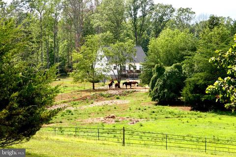 9170 Grasty Goldmine Rd, Rhoadesville, VA 22542 photo 20