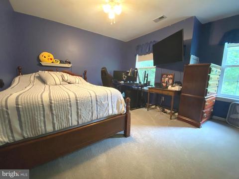 11375 Crestview Dr, Orange, VA 22960 photo 33