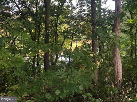 Pennfields Dr, Orange, VA 22960 photo 10