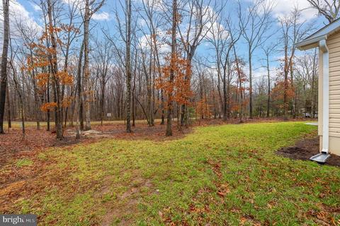 8569 Wilderness Woods Ln, Rhoadesville, VA 22542 photo 24