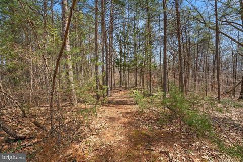 29329 Red Fox Ln, Rhoadesville, VA 22542 photo 49