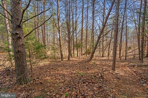 29329 Red Fox Ln, Rhoadesville, VA 22542 photo 48