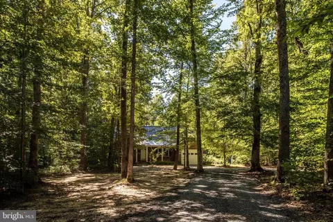 4947 Harmony Forest Ln, Culpeper, VA 22701 photo 64