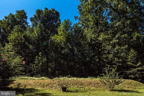 4947 Harmony Forest Ln, Culpeper, VA 22701 photo 47