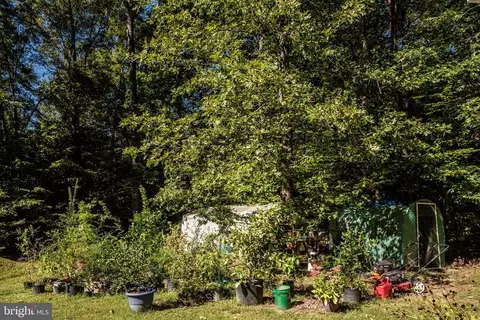 4947 Harmony Forest Ln, Culpeper, VA 22701 photo 34