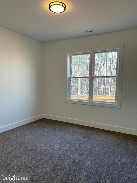 27079 Bison Ln, Culpeper, VA 22701 photo 17