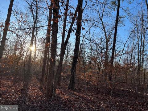 Beaver Creek Rd, Orange, VA 22960