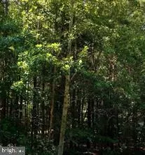 1200 Eastover Pkwy, Locust Grove, VA 22508