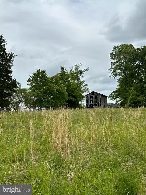 St Just Rd, Unionville, VA 22567