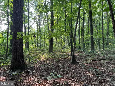 Mine Run Rd, Rhoadesville, VA 22542 photo 16