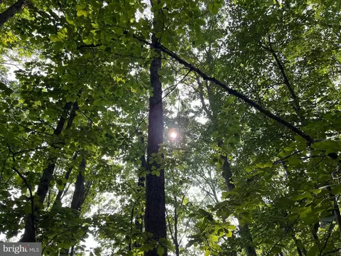 Mine Run Rd, Rhoadesville, VA 22542 photo 19