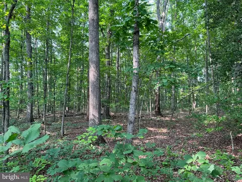 Mine Run Rd, Rhoadesville, VA 22542 photo 22