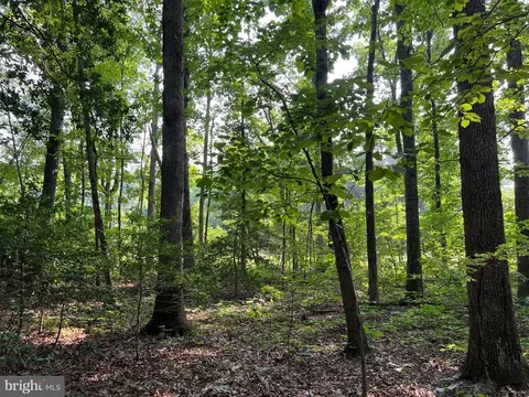 Mine Run Rd, Rhoadesville, VA 22542 photo 18