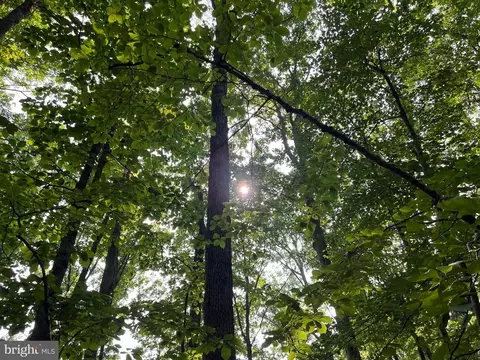 Mine Run Rd, Rhoadesville, VA 22542 photo 19