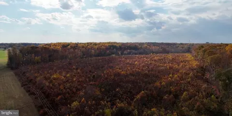 Grasty Goldmine Rd, Rhoadesville, VA 22542 photo 6