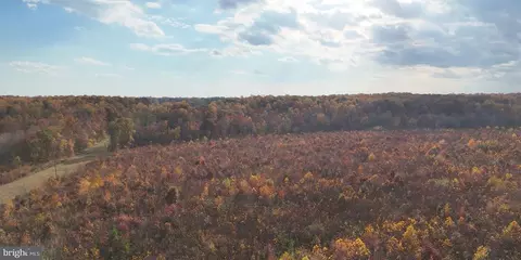 Grasty Goldmine Rd, Rhoadesville, VA 22542 photo 8