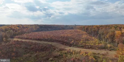 Grasty Goldmine Rd, Rhoadesville, VA 22542 photo 5