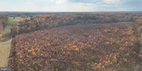 Grasty Goldmine Rd, Rhoadesville, VA 22542 photo 7