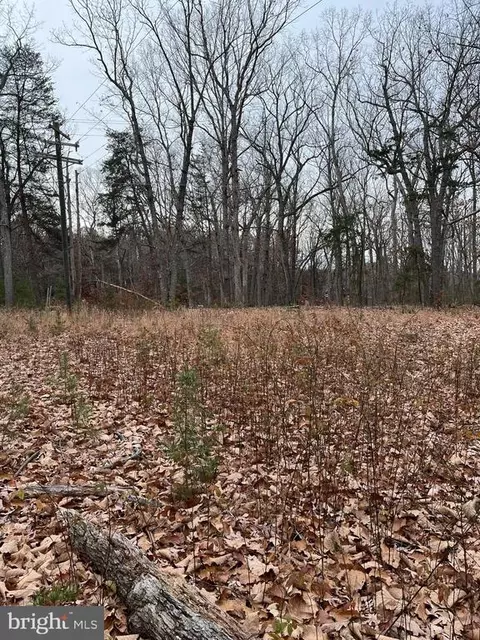 31250 Zoar Rd, Locust Grove, VA 22508