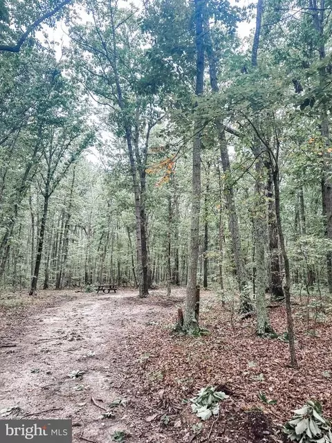 Independence, Unionville, VA 22567