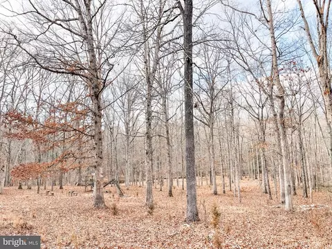 28137 Beech Dr, Rhoadesville, VA 22542 photo 3