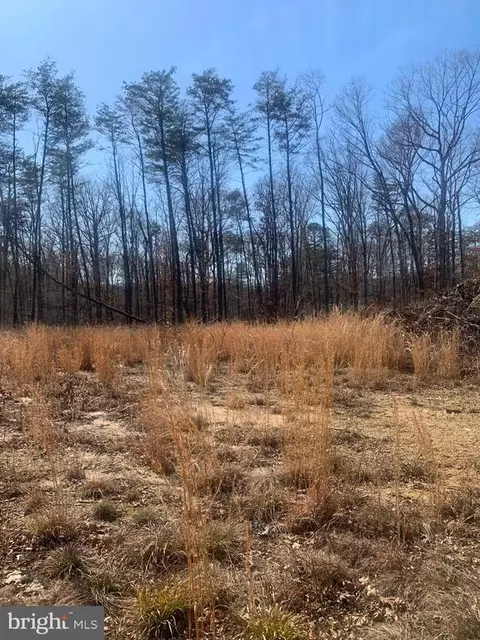 Cox Mill Road, Orange, VA 22960 photo 3
