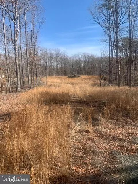 Cox Mill Road, Orange, VA 22960