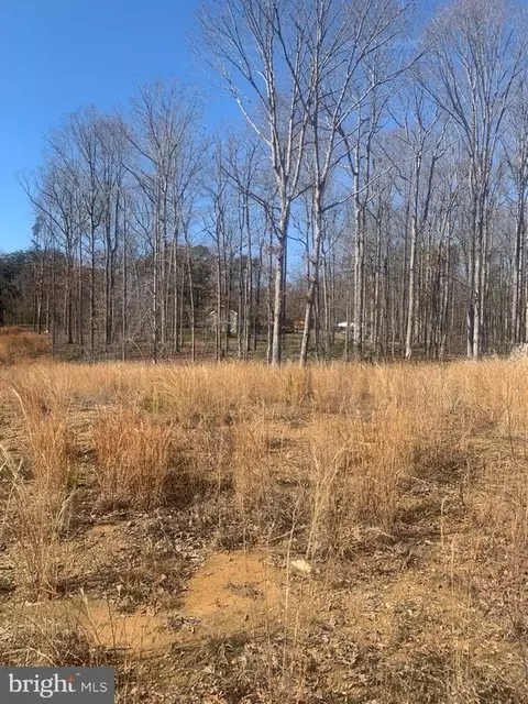 Cox Mill Road, Orange, VA 22960 photo 6