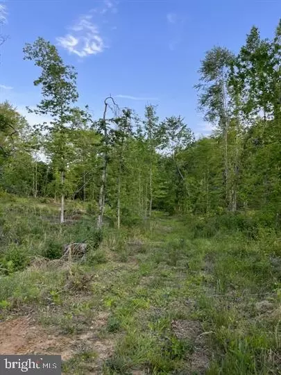 0 Smokey, Unionville, VA 22567