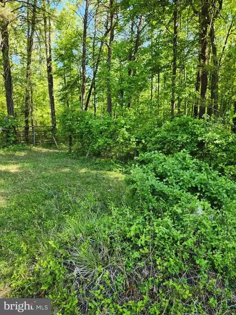 Everona Road, Unionville, VA 22567