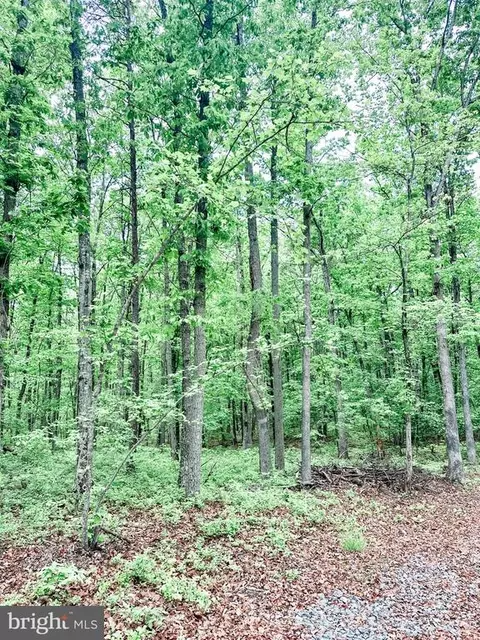Independence Rd, Unionville, VA 22567