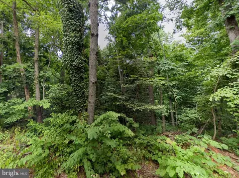 0 Raccoon Ford Rd, Culpeper, VA 22701