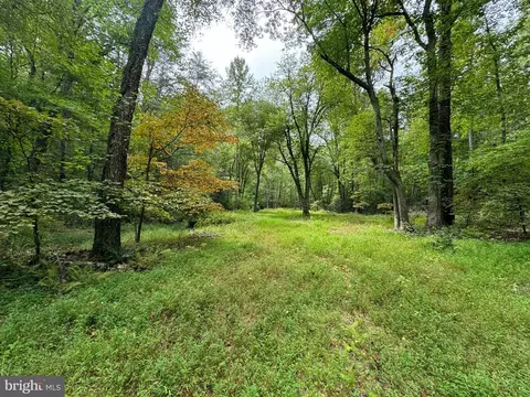 Mountain Track Rd, Orange, VA 22960 photo 11