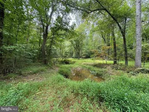 Mountain Track Rd, Orange, VA 22960 photo 8