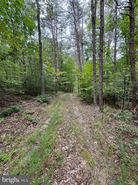 Mountain Track Rd, Orange, VA 22960 photo 12