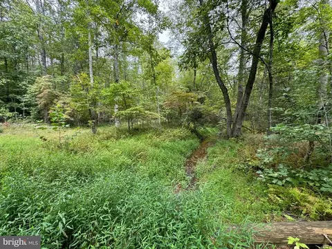 Mountain Track Rd, Orange, VA 22960 photo 9
