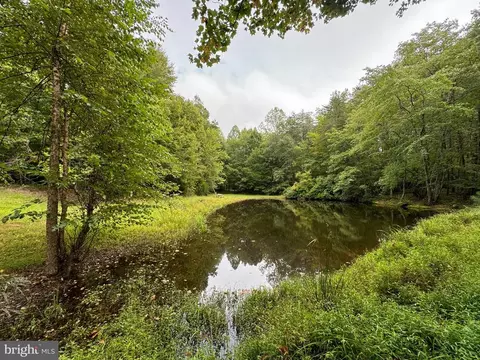 Mountain Track Rd, Orange, VA 22960 photo 4