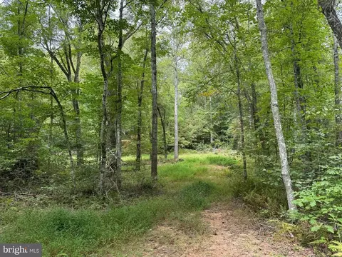 Mountain Track Rd, Orange, VA 22960 photo 6
