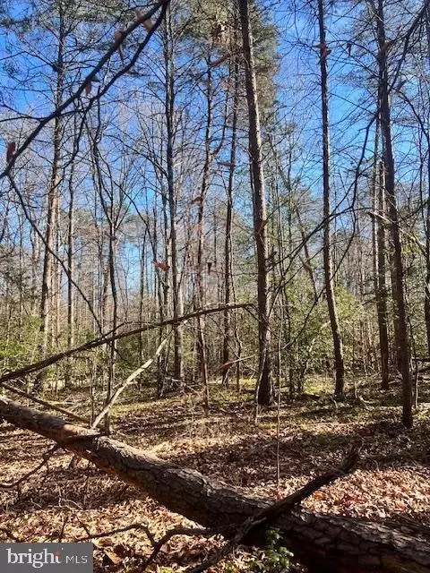 Vermont Rd, Rhoadesville, VA 22542 photo 6