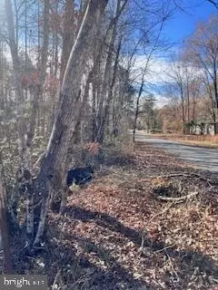 Vermont Rd, Rhoadesville, VA 22542 photo 2