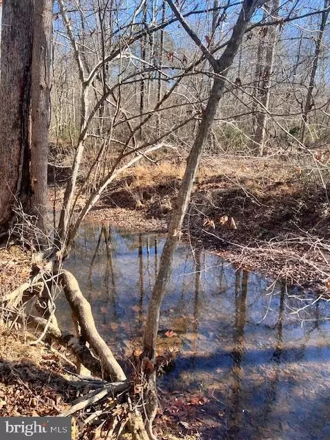 Vermont Rd, Rhoadesville, VA 22542 photo 4