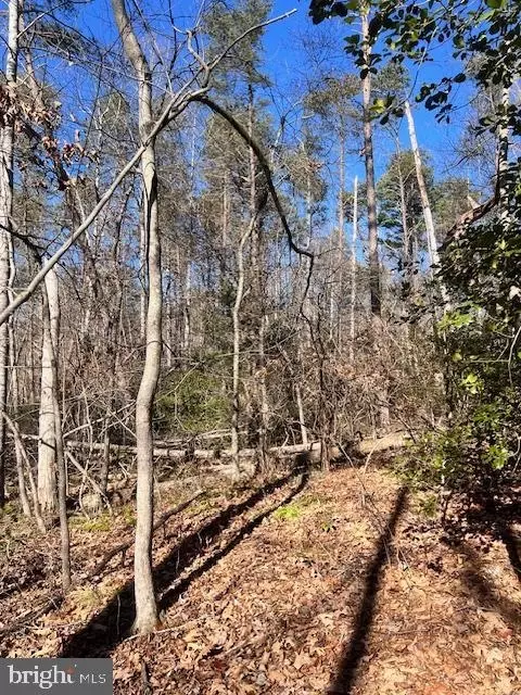 Vermont Rd, Rhoadesville, VA 22542 photo 5