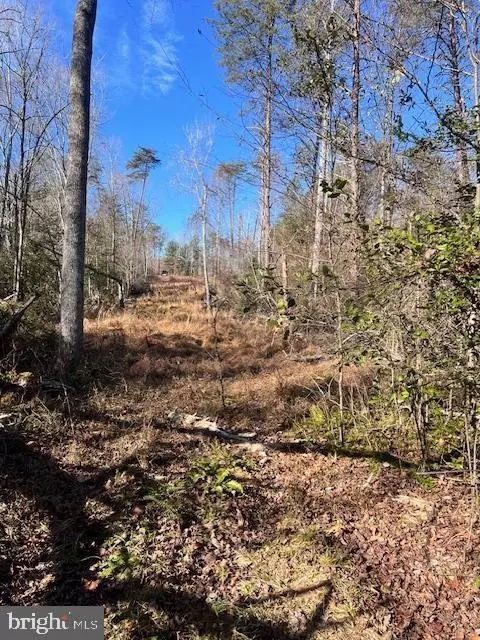 Vermont Rd, Rhoadesville, VA 22542 photo 7