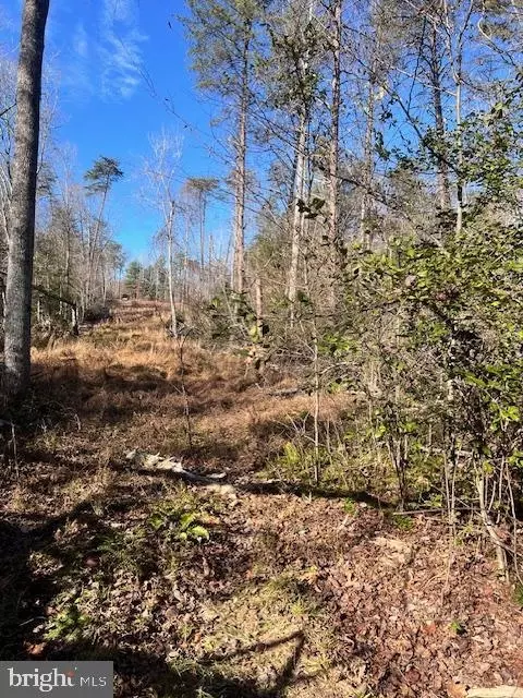 Vermont Rd, Rhoadesville, VA 22542