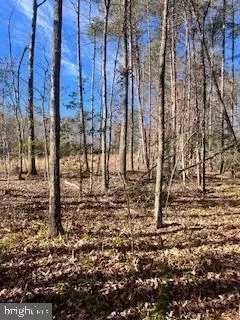 Vermont Rd, Rhoadesville, VA 22542 photo 2