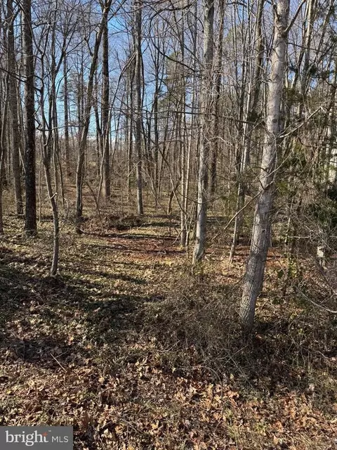 0 Zachary Taylor Hwy, Unionville, VA 22567