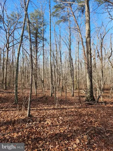 Shore Dr, Orange, VA 22960 photo 10